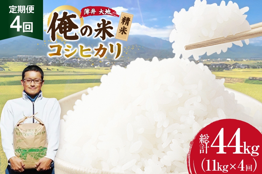
                  【俺の米】 米 定期便 4回 令和8年 コシヒカリ 精米 11kg 計 44kg [薄井 大地 長野県 池田町 48110938] お米 おこめ こめ コメ 白米 ご飯 ごはん 定期 4ヶ月  おにぎり こしひかり 美味しい もっちり 甘い 農家 直送 10キロ 40キロ 以上 令和8年産 先行予約 新米
                