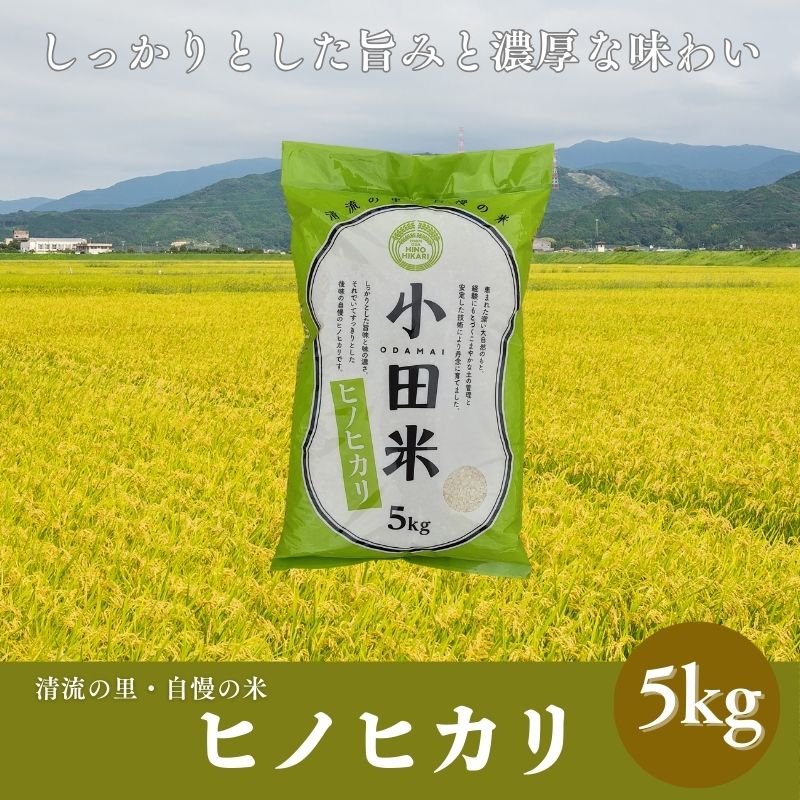 【ふるさと納税】令和7年度産米　ヒノヒカリ 5kg