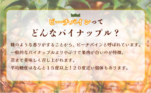 穫れたて新鮮冷凍！西表島の完熟ピーチパイン 3.2kg(400g×8袋)　 嘉本商店 完熟 果物 フルーツ