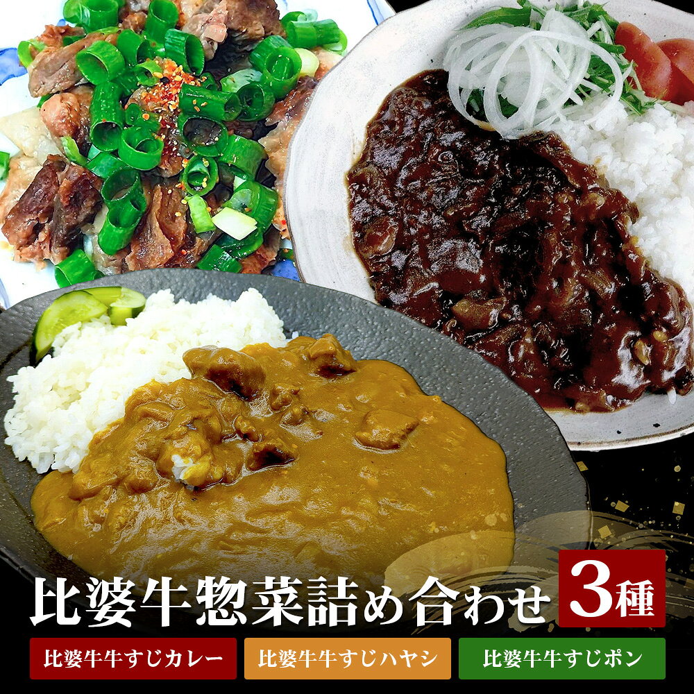 【ふるさと納税】 比婆牛 詰め合わせ セット | 牛すじカレー 牛すじハヤシ 牛すじポン カレー ハヤシライス おつまみ お酒のお供 惣菜 牛肉 広島 庄原 牛スジ