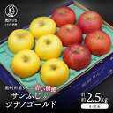 【ふるさと納税】 奥州市産りんご 赤い誘惑「サンふじ＆シナノゴールド」約2.5kg 8-10玉 優品 秀品 フルーツ 果物 1箱 [AQ083]