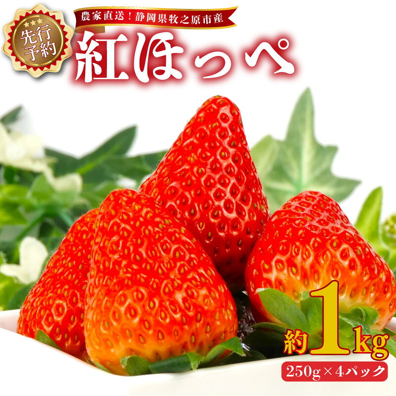【ふるさと納税】 いちご 紅ほっぺ 1kg 2027年2月上旬発送予定 250g × 4パック 産地直送 フルーツ 苺 果物 ストロベリー 贈答用 ギフト 高級 甘い 人気 旬 ギフト プレゼント 贈り物 季節限定 新鮮 甘い 美味しい 静岡苺 牧之原苺 静岡いちご 牧之原市 静岡県 ヤマセン