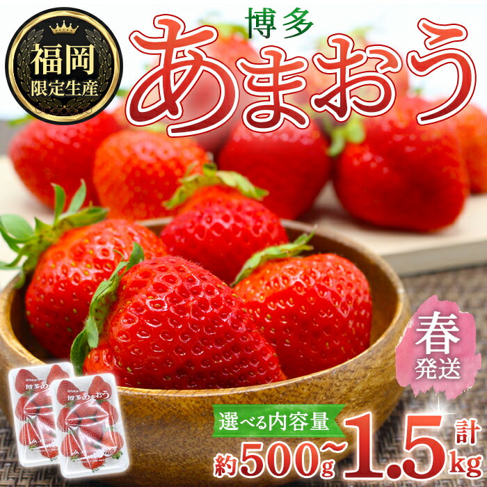 【ふるさと納税】＜容量を選べる・先行予約受付中！2026年2月上旬～2026年4月下旬に順次発送予定＞ 博多あまおう・春 (計約500g～1.5kg) いちご 苺 フルーツ 果物 くだもの 福岡限定 家庭用 冷蔵＜離島配送不可＞【ksg1739・ksg1740・ksg1741】【農産物直売所ほたるの里】