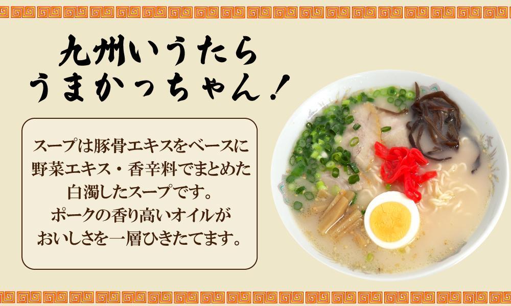 うまかっちゃん 10食 （5袋入×2パック）