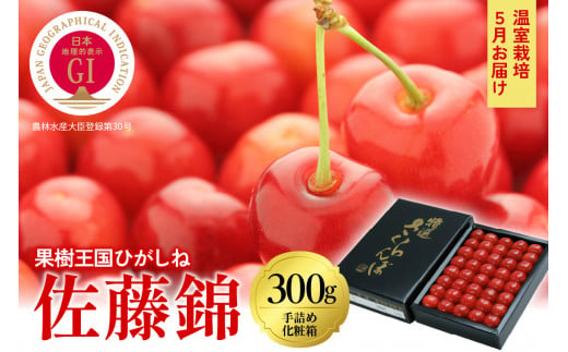 2025年【5月お届け】GI東根さくらんぼ 佐藤錦 特秀品 Lサイズ300g化粧箱詰め 東根農産センター提供 山形県 東根市 hi027-161-1