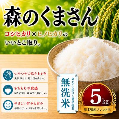 ふるさと納税 玉名市 【毎月定期便】熊本県産 森のくまさん 無洗米 5kg全3回