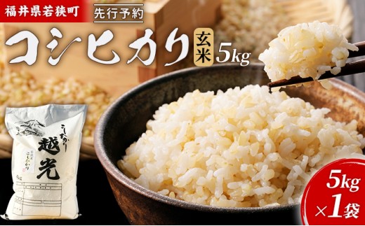
                  【10月お届け】令和8年産 若狭町コシヒカリ玄米5kg 米 お米 こしひかり 福井県 [№5580-1385]
                