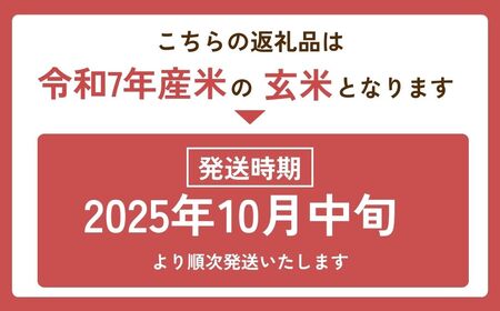 令和7年産新米 玄米 こだわりのコシヒカリ 10kg | コシヒカリ 茨城県 龍ケ崎市