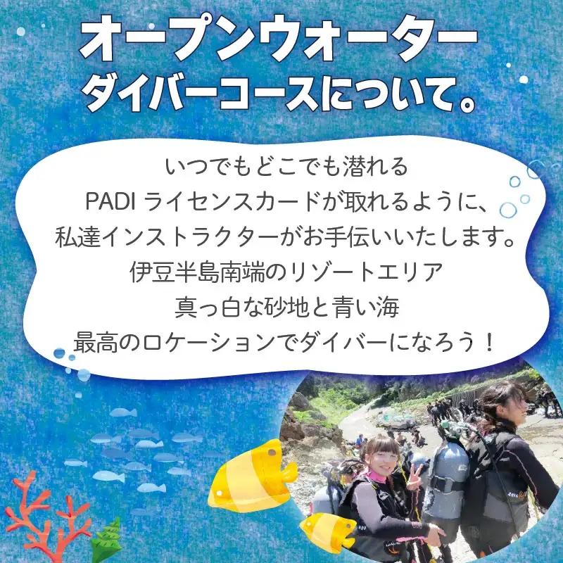 体験 チケット ダイビング PADI スクール 3日間 ゴールドカード 資格取得 ダイビング