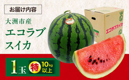 愛媛県産 エコラブスイカ 特1玉 愛媛県大洲市/株式会社フジ・アグリフーズ すいか スイカ くだもの フルーツ [AGBA017] 果物 すいか