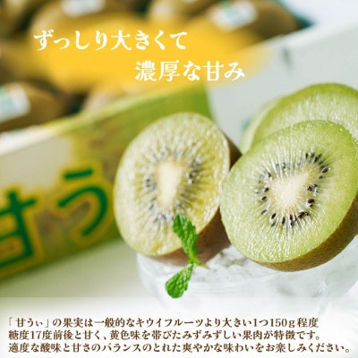 キウイ「甘うぃ(あまうぃ)」約1.5kg箱(12-15玉)福岡限定!ブランド(宇美町)【先行受付】【配送不可地域：離島】