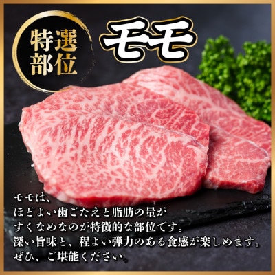 飛騨牛 モモステーキ 約600g(100g×6枚) A4～A5等級 黒毛和牛 赤身ステーキ【配送不可地域：離島】