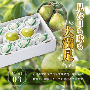 《 先行予約 》【 令和6年産 】 ラ・フランス 3kg 特秀 ( 約 7 ～ 10 玉 ) 〔 2024年11月中旬頃 ～ お届け 〕 ラフランス 洋梨 2024年産