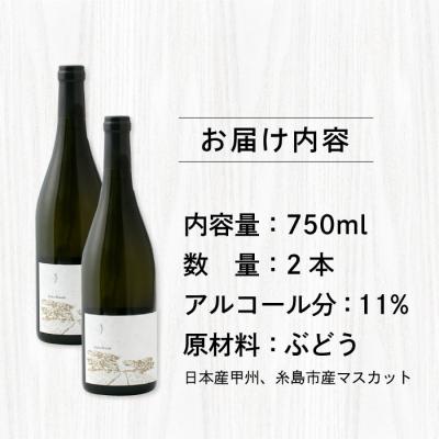 ふるさと納税 糸島市 【糸島マスエワイナリ】STILL白Koshu Muscut 2本 糸島市[AEP002] |  | 02