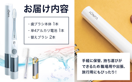 携帯用 電動歯ブラシ IONPA DM-021 ブラック | 歯ブラシ