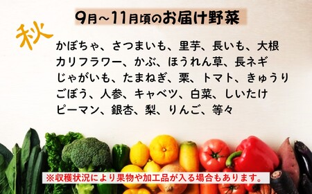 定期便6ヶ月 旬の野菜セットA(６品以上) I0089