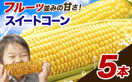 とうもろこし 5本｜とうもろこしとうもろこしとうもろこし ゴールドラッシュ