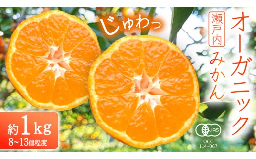 【 お試し少量 約1kg 】オーガニック 瀬戸内みかん (8～13個程度) 【2026年10月中旬～1月発送】 少量 国産 有機JAS認証 小玉 小玉みかん 瀬戸内 広島 離島 有機栽培 柑橘 果物 フルーツ ギフト 無添加 送料無料 産地直送 中原観光農園 大崎上島