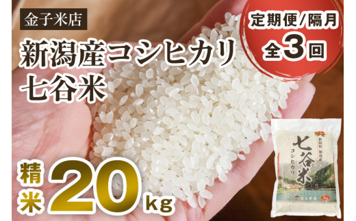【令和7年産】【定期便3回隔月お届け】老舗米穀店が厳選 新潟県加茂市産コシヒカリ「七谷米」精米20kg（5kg×4）〈順次出荷〉 従来品種 白米 窒素ガス充填パックで鮮度長持ち 金子米店