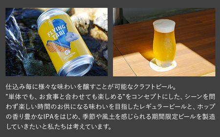 【6回定期便】 GROUNDTAP BREWERY クラフトビール６缶セット 6缶×6回［合計36缶］※2ヶ月に1回 偶数月に発送します　グランドタップ クラフトビール ビール 定期便