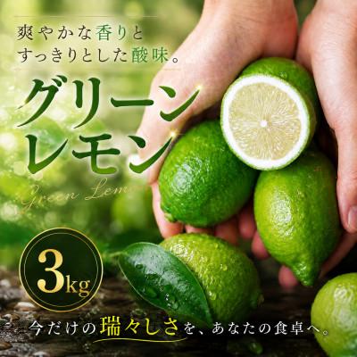 ふるさと納税 松山市 【選び抜いた一箱】鮮烈な酸味【グリーンレモン】3kg　愛媛県産