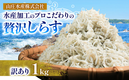 訳あり しらす 1kg 冷凍 ちりめん かちり しらす干し 極み しらすしらすしらす 山庄