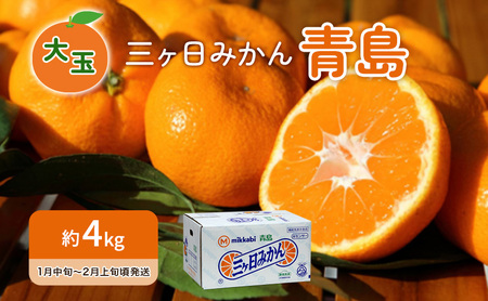 三ヶ日みかん 青島 大玉 4kg 蜜柑 ミカン 果物 くだもの フルーツ 浜松