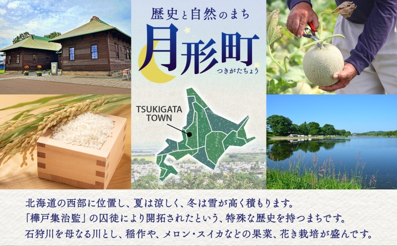 【令和8年産先行予約】北海道 令和8年産 ななつぼし 5kg×4袋 計20kg 特A 精米 米 白米 ご飯 お米 ごはん 国産 ブランド米 おにぎり ふっくら 常温 お取り寄せ 産地直送 送料無料 月形 