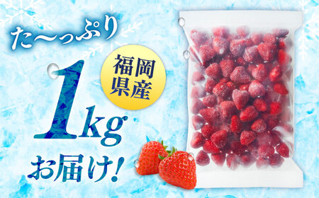 【全2回定期便】訳あり冷凍いちご「博多あまおう」1kg（加工用）  桂川町/株式会社やまやコミュニケーションズ[ADAN064]