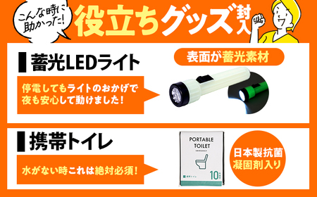 【先行予約】安心防災１７点セット【12月上旬より順次発送】｜防災グッズ 1人用 災害グッズ 防災バッグ 防災リュック 避難グッズ 避難セット 防災 食 女性 トイレ 水 食品 非常食 ライト 地震 台