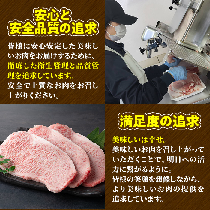 宮崎牛 切り落とし(計1kg・500g×2P)【LJ005】【レグセントジョイラー株式会社】