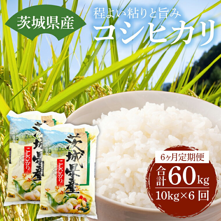 【ふるさと納税】【6ヶ月定期便】茨城県産コシヒカリ （ 5kg × 2袋 ）× 6ヶ月 定期便 お米 米 精米 こしひかり コシヒカリ 産地直送 送料無料 （KY-4）