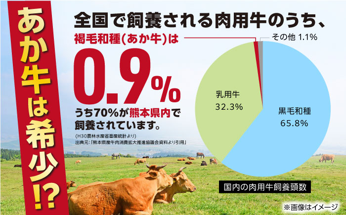 【全12回定期便】 熊本あか牛 焼肉用カット ( バラ ロース ) 500g 【五右衛門フーズ】 [YBZ046]