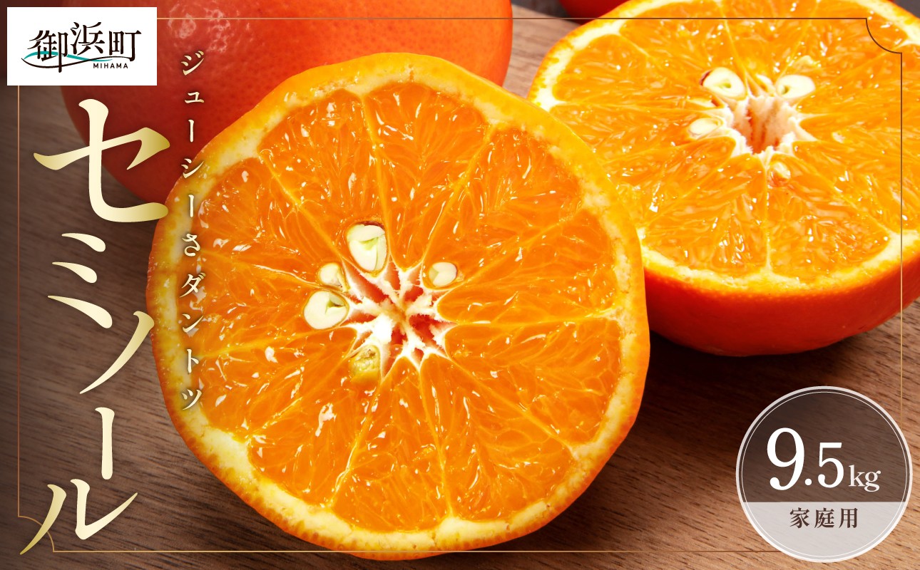 
                  【2027年発送先行予約品】ジューシーさダントツ！ミカファームのセミノール9.5キロ(家庭用)【数量限定 果物 フルーツ みかん セミノール デザート 9.5kg 家庭用 三重県 御浜町】
                
