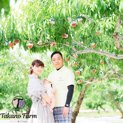 完熟桃 約2kg 山梨県産 自社農園産直!完熟収穫! Takano Farm【配送不可地域：離島】