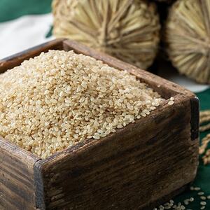 霧ヶ峰高原からの伏流水が育んだお米「信州茅野　米沢吉田米」玄米10kg(10kg×1個)【1713110】