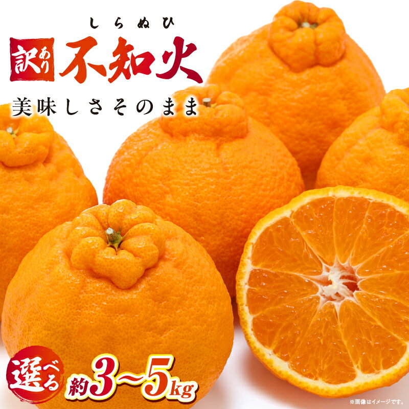 【ふるさと納税】【選べる内容量】訳あり不知火約3kg～5kg【香川県共通返礼品】甘い みかん ミカン 柑橘 柑橘系 果物 フルーツ 青果 デザート グルメ おすすめ 贈答 贈り物 ギフト プレゼント 特産品 特産 取り寄せ ふるさと 果汁 人気 香川県 三木町