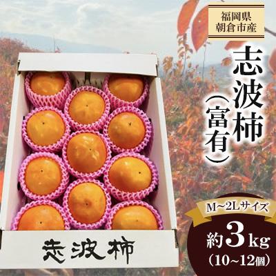 ふるさと納税 朝倉市 福岡県朝倉市産「志波柿(富有)] M〜2Lサイズ　 約3kg(10〜12個)