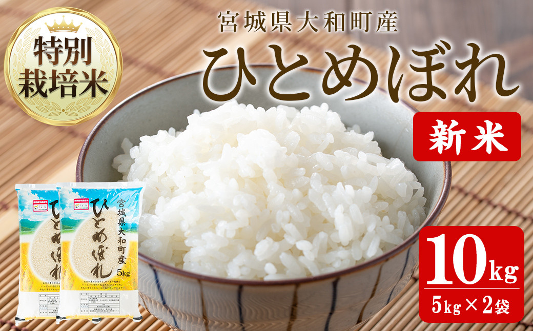 
            【令和7年産 新米】特別栽培米 ひとめぼれ 10kg お米 おこめ 米 コメ 白米 ご飯 ごはん おにぎり お弁当【農事組合法人若木の里】ta531
          