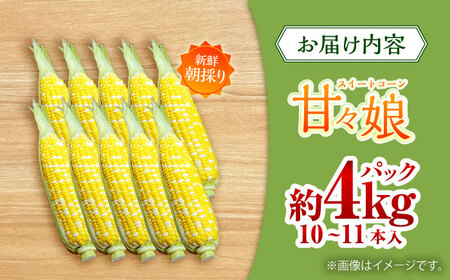 【6月上旬より順次発送】【数量限定】スイートコーン(甘々娘) 約4kg（10~12本）【なかむら農園】[BHCJ001]