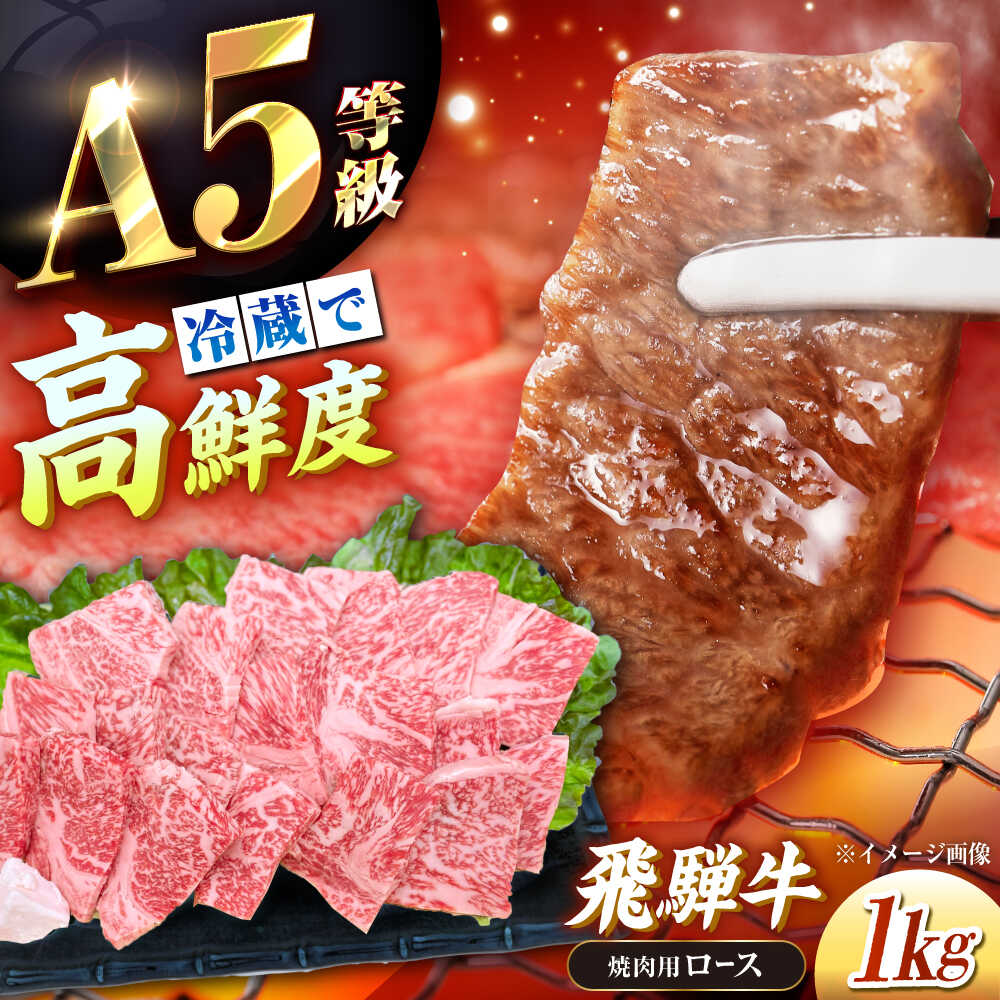 【ふるさと納税】【年内発送】【チルド（冷蔵）発送！】 牛肉 「飛騨牛」 A5等級 ロース 1kg / 肉 お肉 にく牛肉 飛騨牛 和牛 国産和牛 ブランド牛 お取り寄せ ステーキ 焼肉 おすすめ 人気 贈答用 ギフト 焼肉 バーベキュー /恵那市/東美濃農業協同組合[AUFX009]