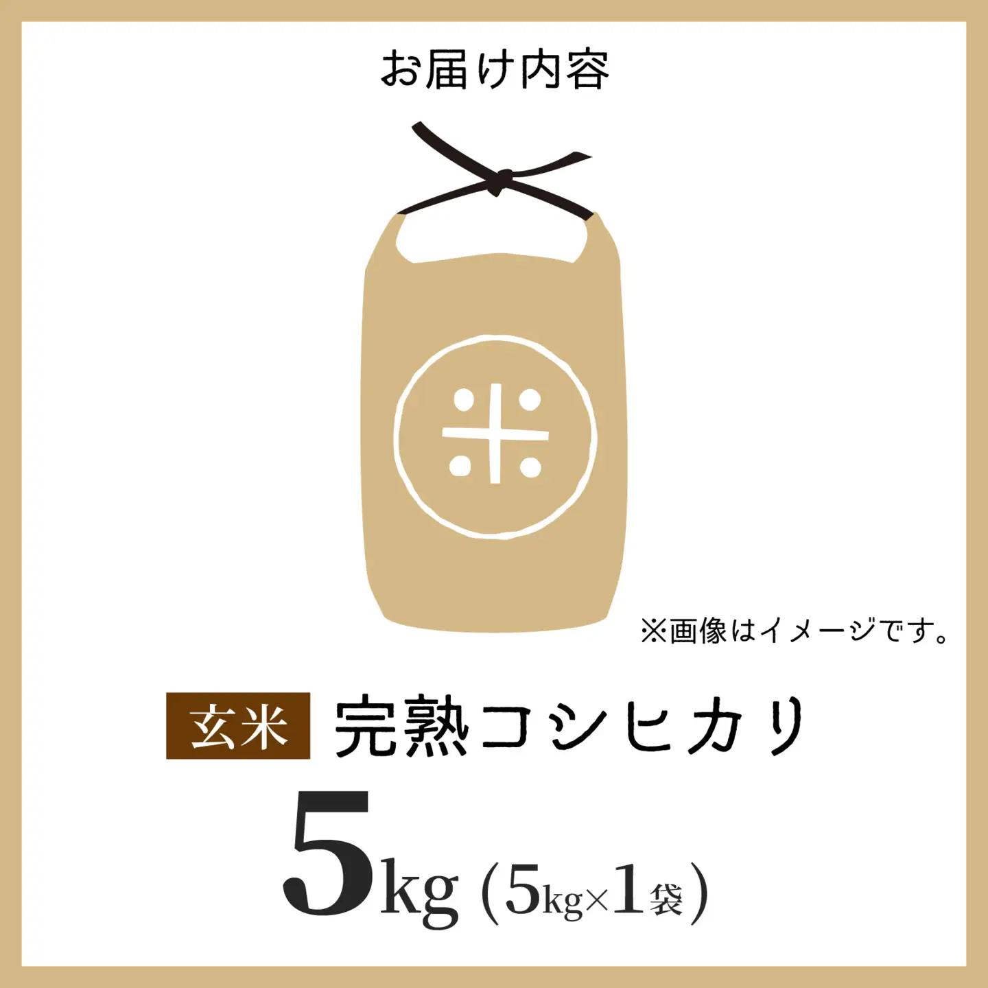 【先行予約】【令和8年産 新米】くらもち完熟米 コシヒカリ 5kg 玄米