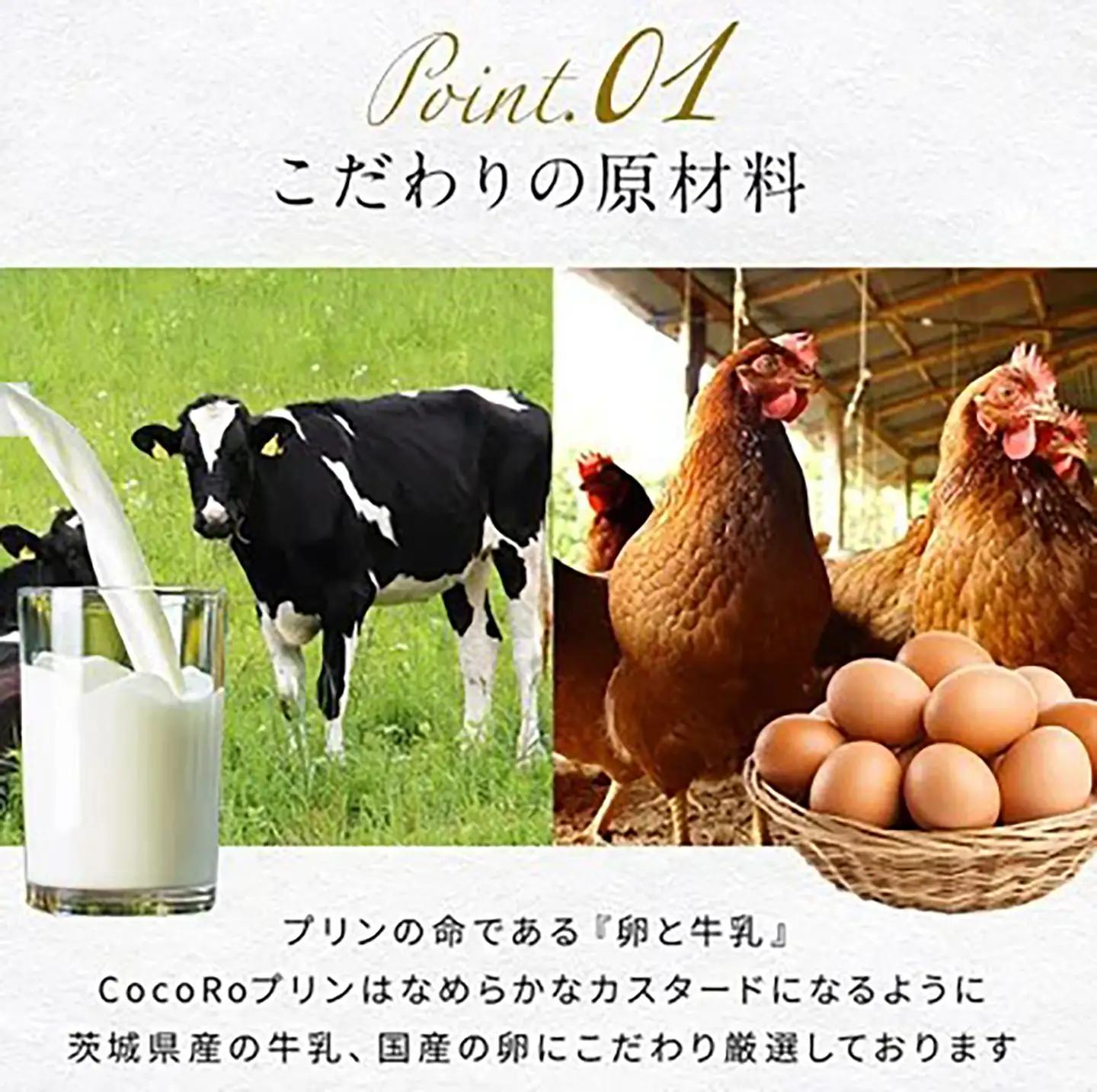 プリン CocoRoプリン3個（ギフト包装＋メッセージシール「おつかれさま」）