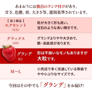 いちご 福岡県産 あまおう 1500g (250g×6パック) 先行予約 2026年2月より順次発送 果物 デザート ※配送不可：離島 