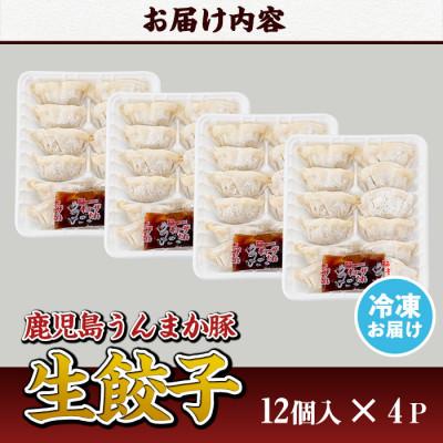 ふるさと納税 さつま町 タレ付き!鹿児島うんまか豚生餃子(計48個・12個入り×4P) |  | 03