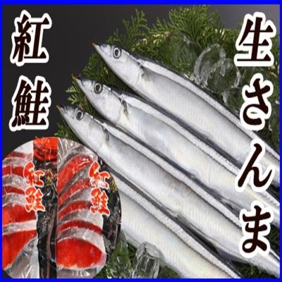 ふるさと納税 根室市 甘塩紅鮭5切×4P、冷凍生さんま5尾×4Pセット C-36015