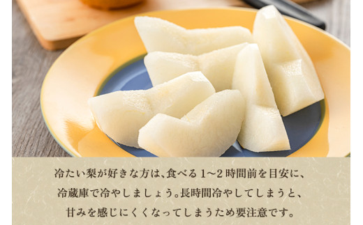 【2026年先行予約】新潟県産 和梨 新興 2kg 【秀品】《10月下旬～順次発送》 しんこう なし 果物 フルーツ デザート ジューシー シャキシャキ  加茂市 塩原久七農園