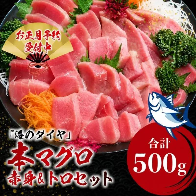 本マグロ（養殖）トロ＆赤身セット 500g 【年内発送（12/26～12/29発送）】高級 クロマグロ  中トロ 中とろ  まぐろ マグロ 鮪 刺身 赤身 柵 じゃばらまぐろ 本マグロ 本鮪【nks110E-sg】