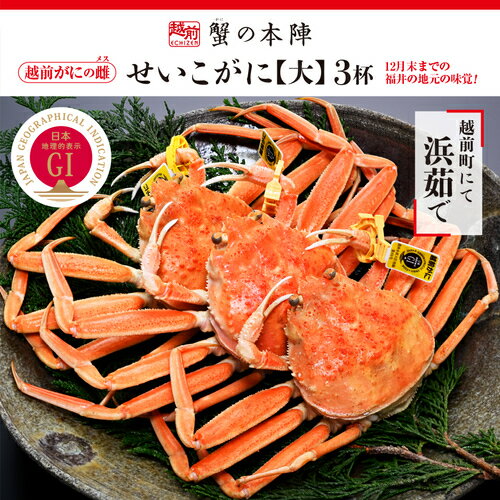 【ふるさと納税】浜茹で【越前せいこがに 大 250g前後】3杯セット 11〜12月順次発送 [e56-x001]