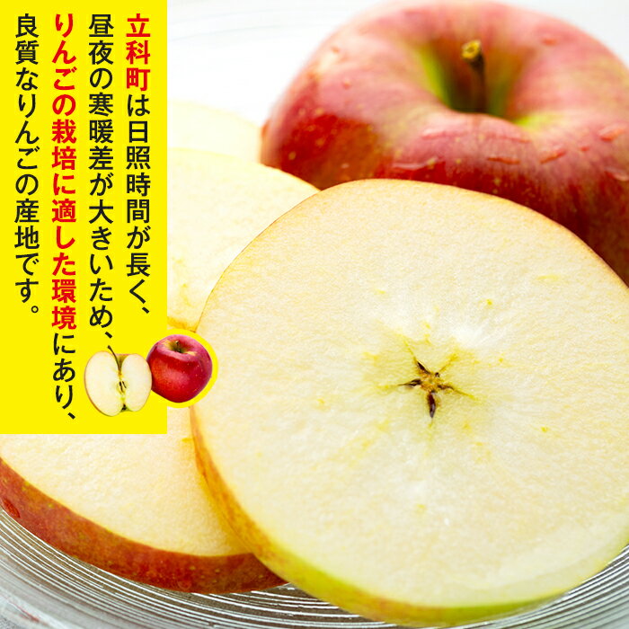 【ふるさと納税】 シナノスイート 約5kg（約5kg、優14～18玉） | 果物 フルーツ りんご シナノスイート 信州 立科町
